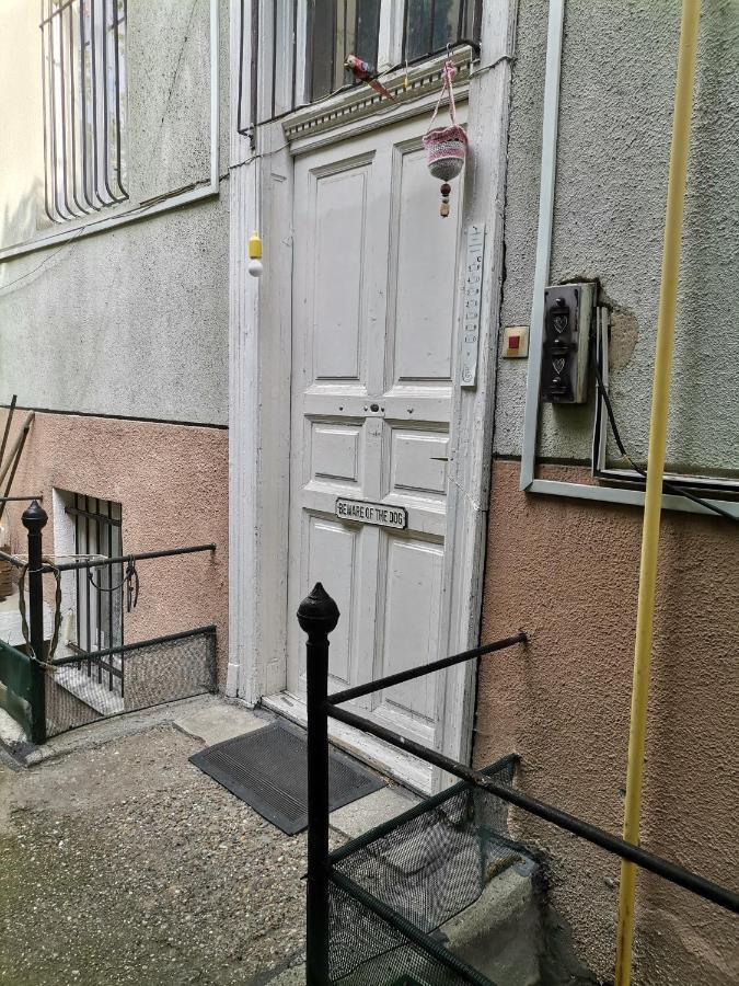 Flat In Historic Villa With Your Own Private Garden, Near City Park Budapest Exterior photo